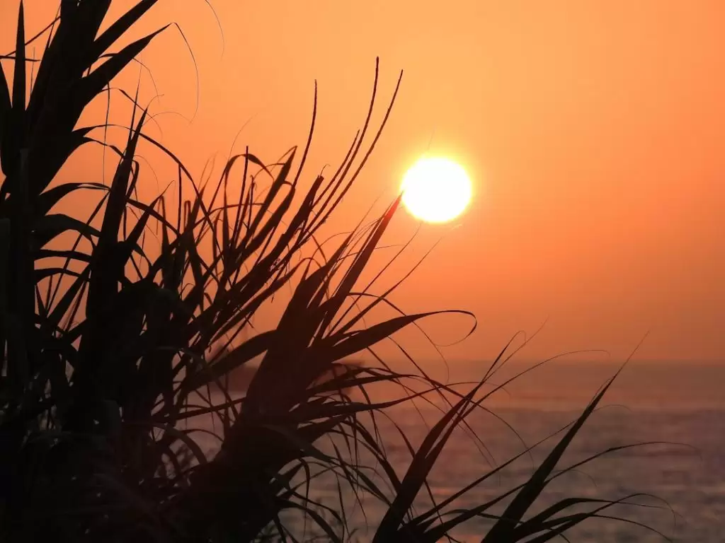 Kelionė į Kiprą ar Maltą: Kipras ar Malta: Kurį pasirinkti poilsiui?