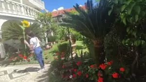 Apartments Petrova – Juodkalnija, Budva atostogos