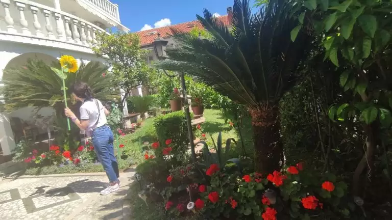 Apartments Petrova Budva, Juodkalnija — 7 naktų atostogos