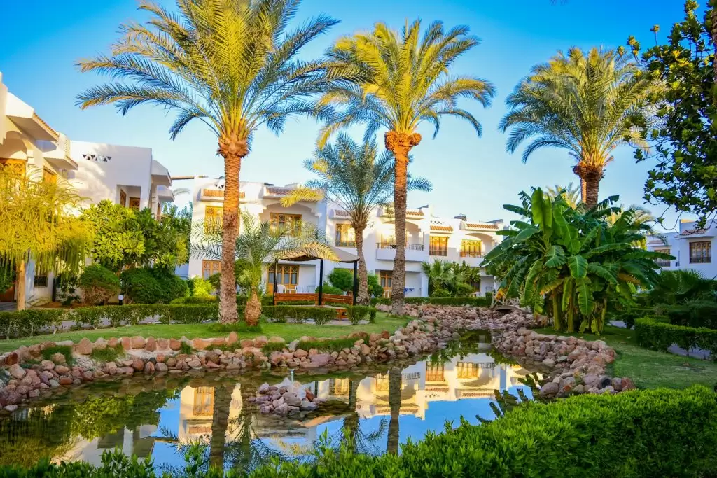 DIVE INN RESORT — <a href=