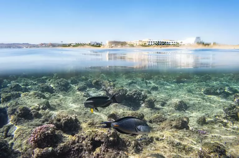 The Three Corners Equinox Beach Resort — Egiptas, Hurgada nuotrauka