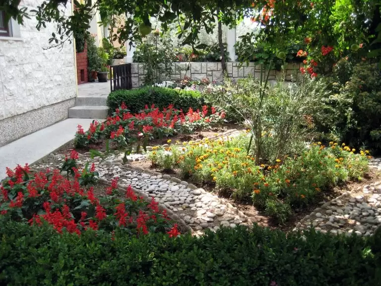 Vila Lena — Juodkalnija, Budva nuotrauka