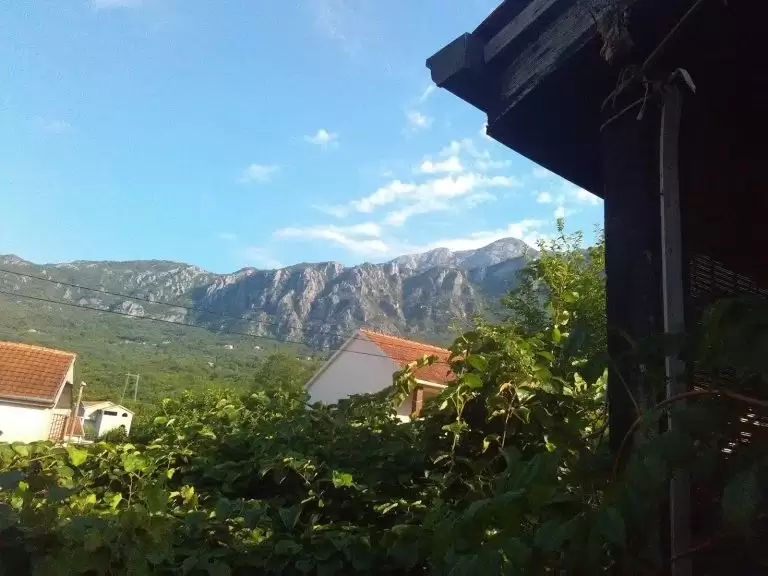 Guest House Bianca — Juodkalnija, Budva nuotrauka