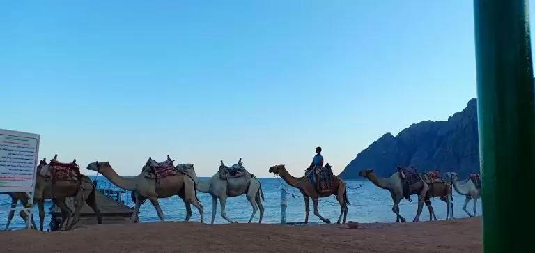 Happy Life Village Dahab — Egiptas, Dahabas nuotrauka