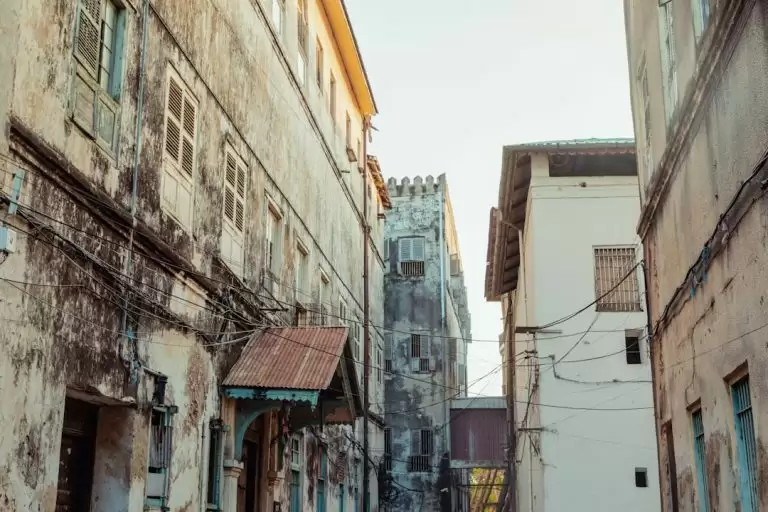 Ką veikti Zanzibare: geriausios pramogos ir vietos