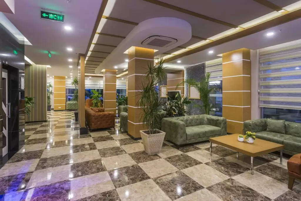 Lonicera City Kleopatra — Turkija, Alanija nuotrauka