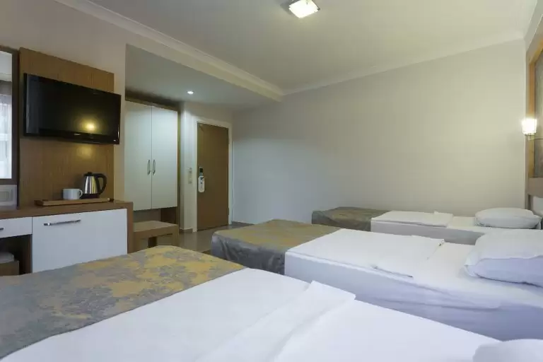 Lonicera City Kleopatra — Turkija, Alanija nuotrauka