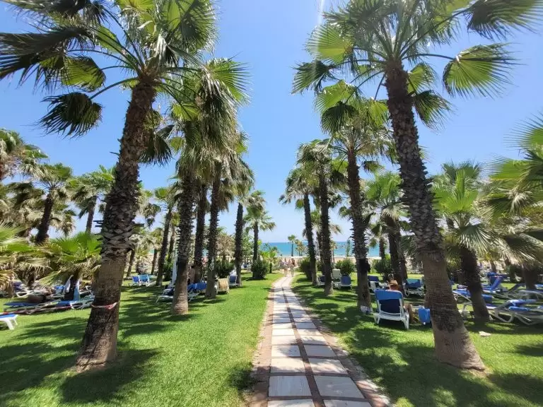 SURAL RESORT HOTEL — Turkija, Sidė nuotrauka