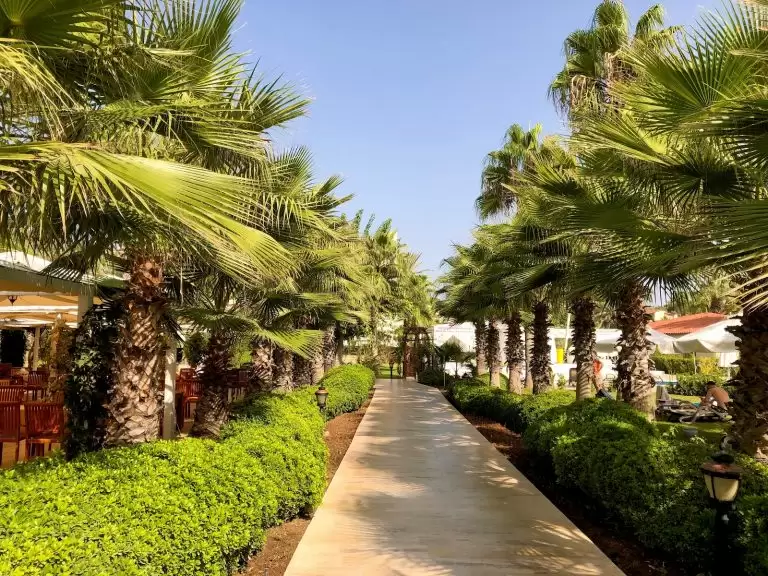 Bellis Deluxe Hotel — Turkija, Belekas nuotrauka