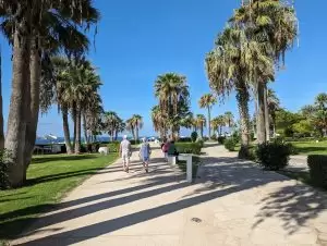 Imperial Island Resort by Louis Hotels — Kipras, Pafosas nuotrauka