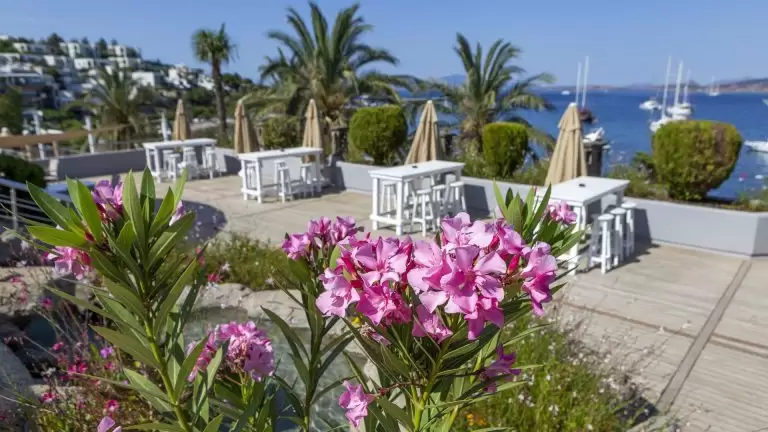 DIAMOND OF BODRUM — Turkija, Bodrumas nuotrauka
