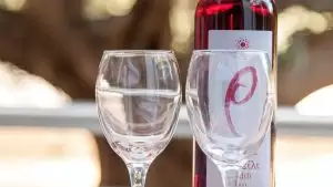 ELOUNDA AKTI OLOUS — Graikija, Heraklionas nuotrauka
