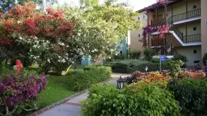 Gypsophila Holiday Village — Turkija, Alanija nuotrauka