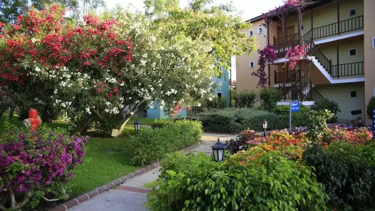 Gypsophila Holiday Village — Turkija, Alanija nuotrauka