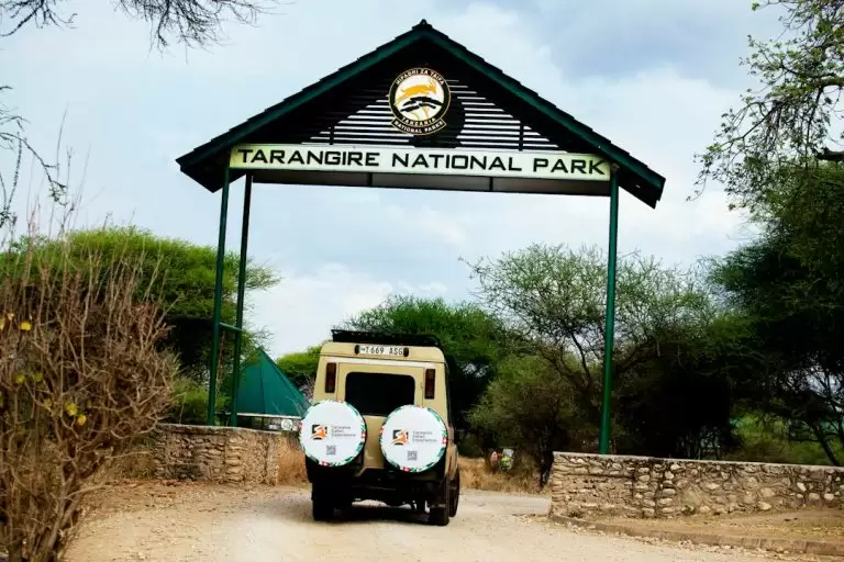 Kelionė į Tanzaniją: 7 dienų maršrutas safariui