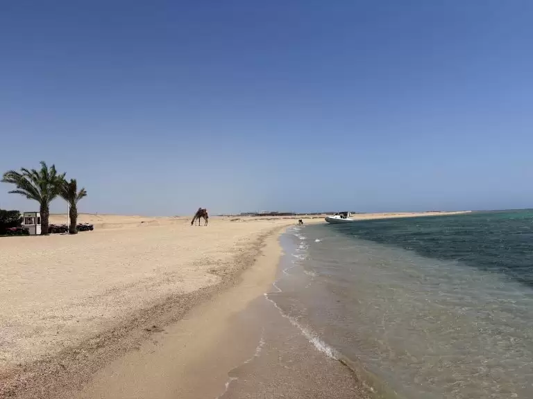 SUNRISE ANJUM RESORT – Egiptas, Marsa Alamas atostogos
