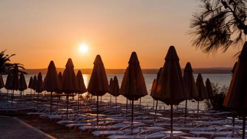 Long Beach Club Nature Umbrellas