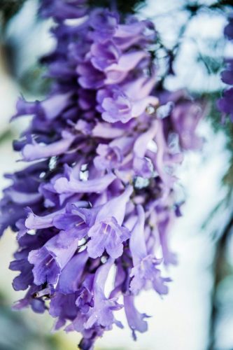 pexels-ekaterinabelinskaya-4744901
